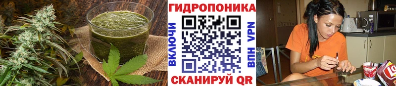 Canna-Cookies конопля  Донской 