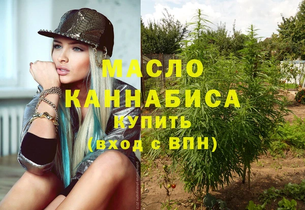 ешки Вяземский