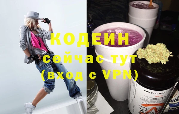 ешки Вяземский