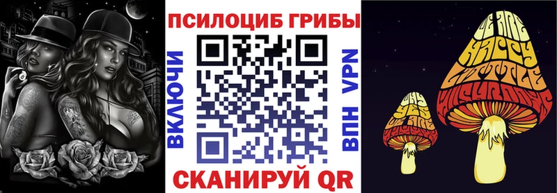 Псилоцибиновые грибы Magic Shrooms  KRAKEN вход  Донской  где продают наркотики 